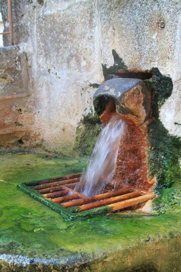 Maison De Plein Pied Au Coeur De La Nature Chaudes-Aigues Luaran gambar